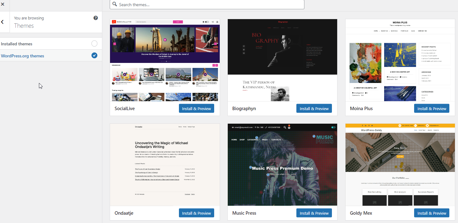 WordPress Customize Theme